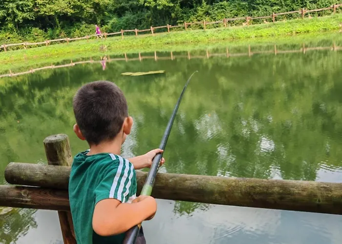 Mobil Confortable Avec Terrasse A Saint-geniez-d'olt, 6 Personnes - Api-1-52-1296 Campingplads Saint-Geniez-dʼOlt