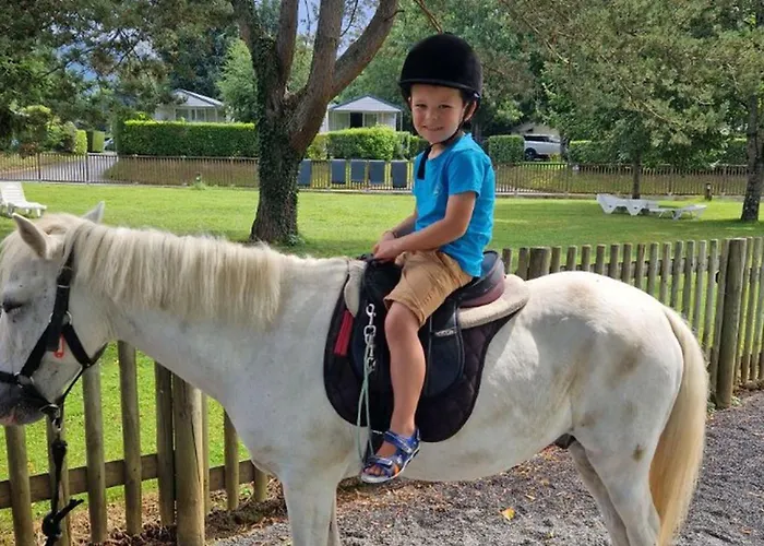 Camping Mobil Confortable Avec Terrasse A Saint-geniez-d'olt, 6 Personnes - Api-1-52-1296