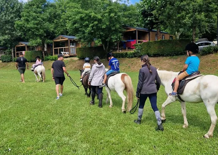 Mobil Confortable Avec Terrasse A Saint-geniez-d'olt, 6 Personnes - Api-1-52-1296 Camping